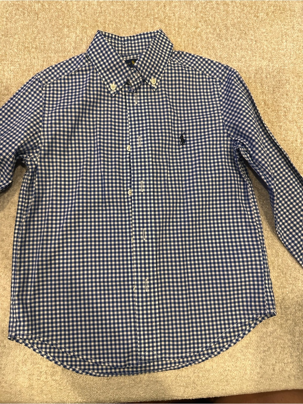 Polo by Ralph Lauren Blue Gingham Button-Down Shirt
